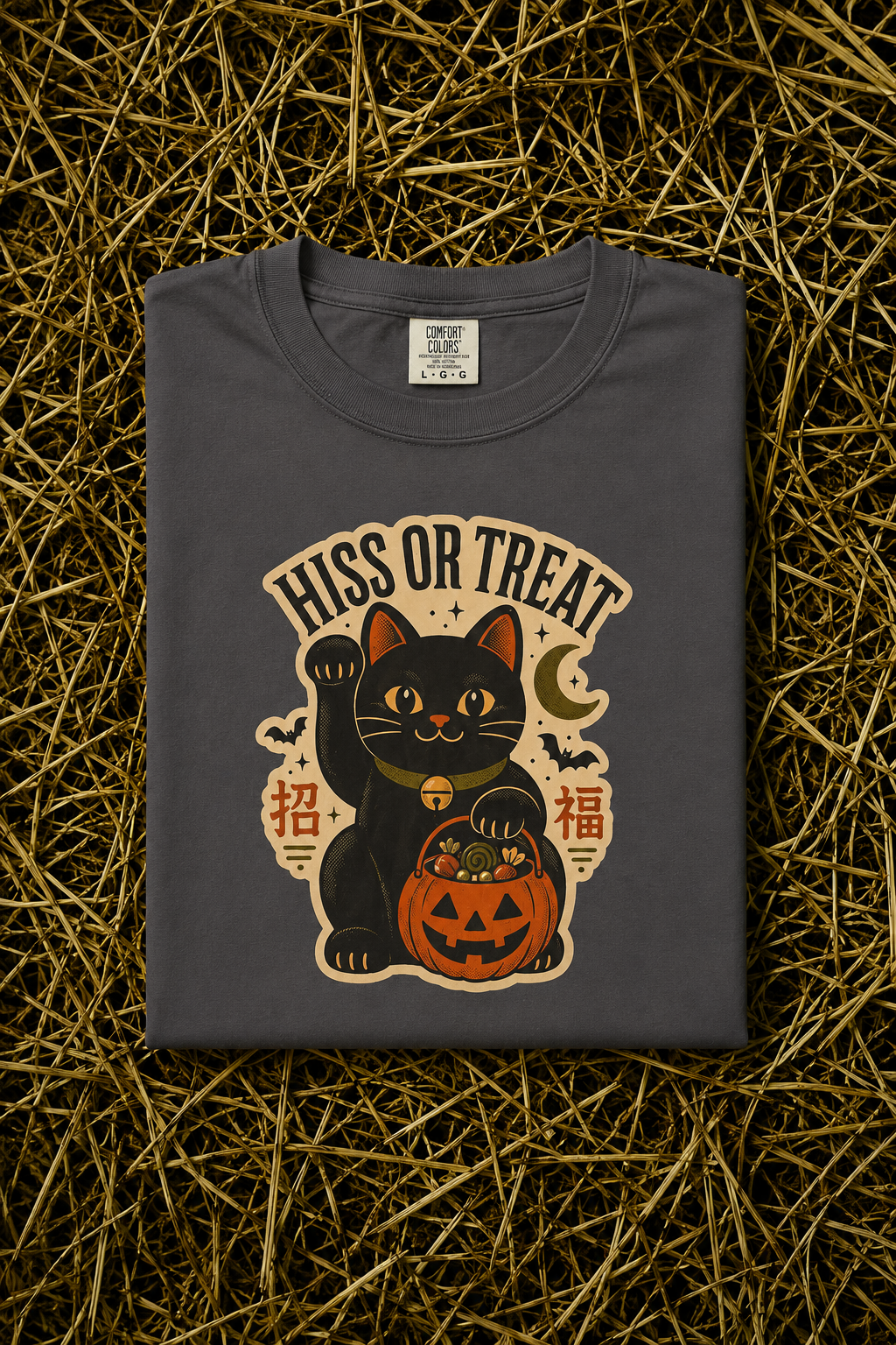 Hiss or Treat 2026 Black Cat Maneki-Neko Halloween T-Shirt - Graphite - Pinterest